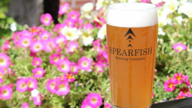 Sipping Through Spearfish: A Guide to Navigating the Craft Beer Scene